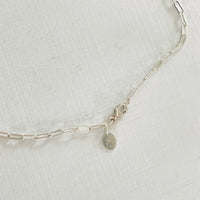 Conch Shell Silvia Paperclip ZEN Anklet