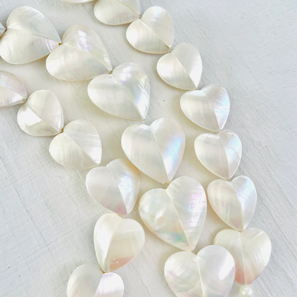 The Puffy Heart Nautilus Shell ZEN Necklace