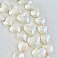 The Puffy Heart Nautilus Shell ZEN Necklace