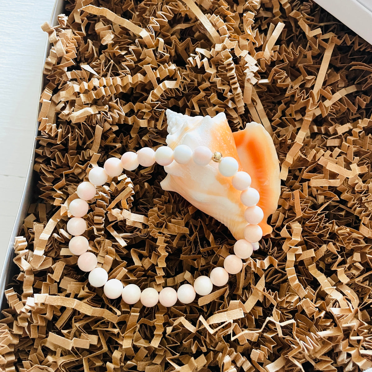 The Key West Conch Shell Gift Set