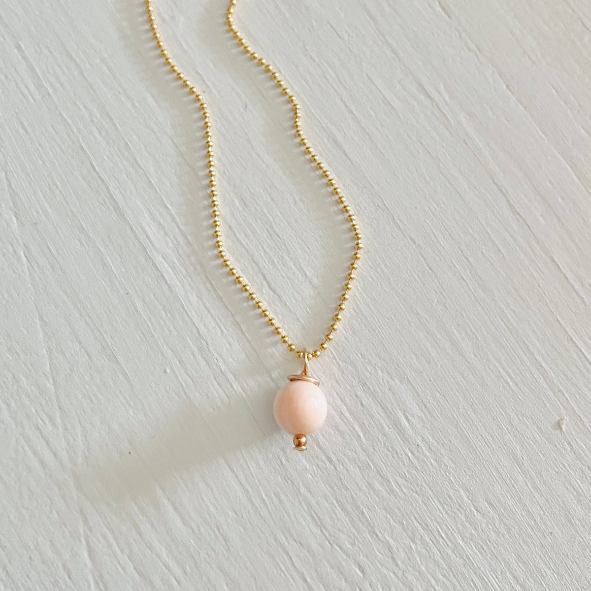 The Key West Conch Shell Gift Set