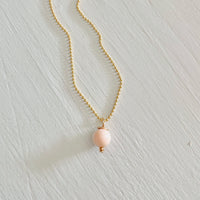 The Key West Conch Shell Gift Set