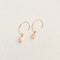 The Key West Conch Shell Gift Set