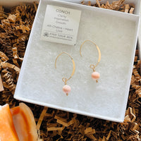 The Key West Conch Shell Gift Set