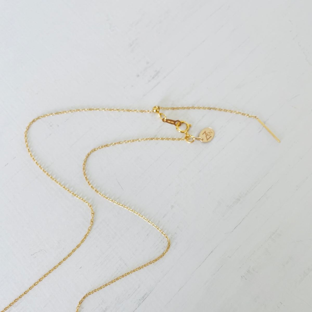 Find Your Clarity Conch Shell Adjustable Necklace