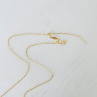 Find Your Clarity Conch Shell Adjustable Necklace