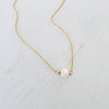 Find Your Clarity Conch Shell Necklace