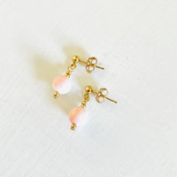 Conch Shell Mini ZEN Earrings