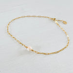 ZEN by Karen Moore Anchored in Clarity Conch Shell Anklet 14kt gold filled paperclip chain on white wood background